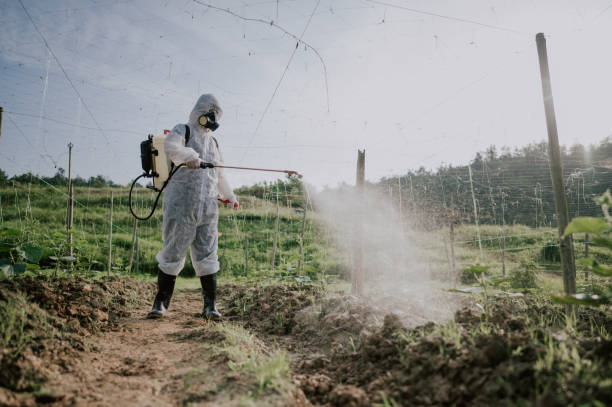 Best Pest Prevention Services  in Chalco, NE