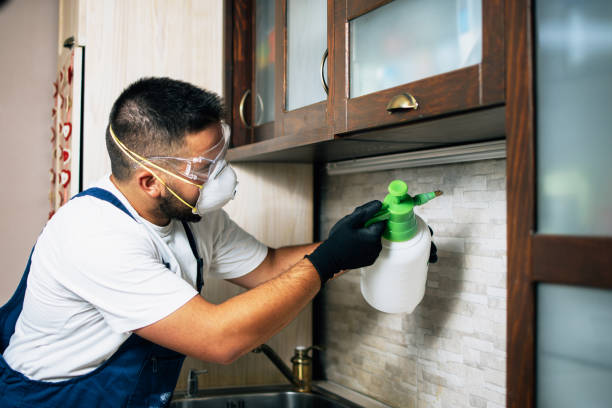 Best Affordable Pest Control Services  in Chalco, NE