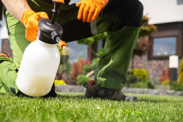 Best Emergency Pest Control  in Chalco, NE