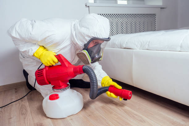 Reliable Chalco, NE Pest Control Solutions