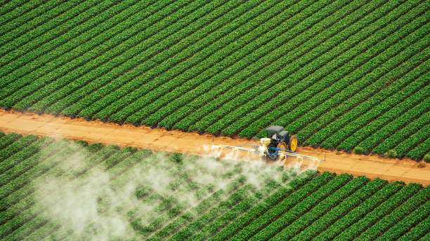 Pest Prevention Services in Chalco, NE